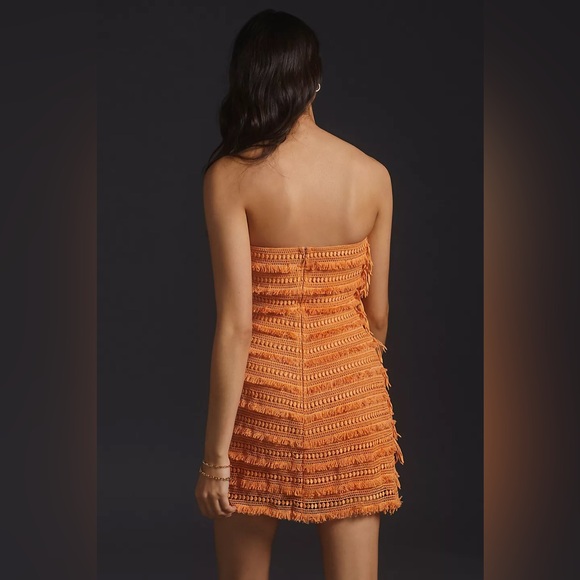 Anthropologie Fringed Tube Mini Dress - Picture 3 of 5